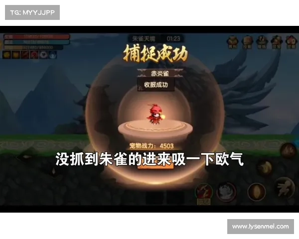 如何有效掌握朱雀天境的修炼方法与进入技巧之完全指南 如何有效掌握朱雀天境的修炼方法与进入技巧之完全指南