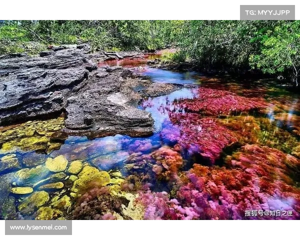 揭开虹色世界神秘面纱探寻七彩光芒背后的科学与奇迹 揭开虹色世界神秘面纱探寻七彩光芒背后的科学与奇迹