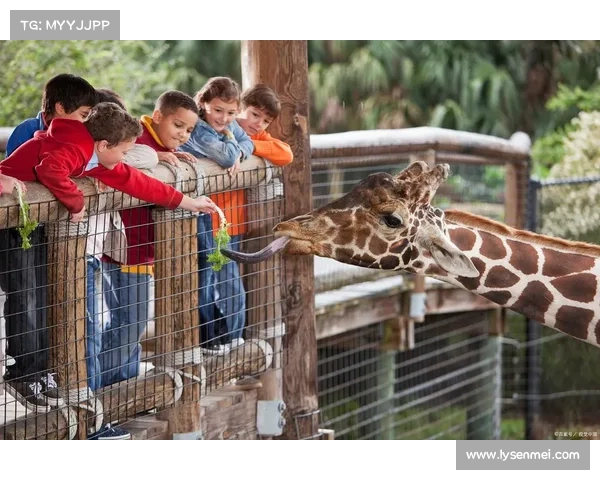 揭秘摩尔庄园五大冒险秘诀带你探索未知世界的奇妙旅程