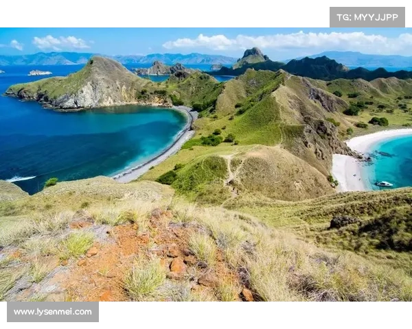 摩尔庄园奇幻旅程必去神秘岛屿的五大理由带你发现无限惊喜